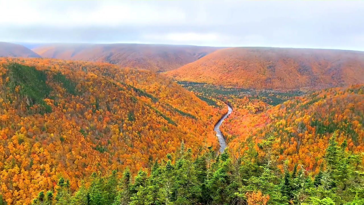 FALL COLOURS | CAPE CLEAR | CAPE BRETON | NOVA SCOTIA