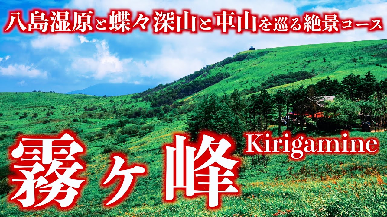 【登山】夏の霧ヶ峰｜深緑の八島湿原と蝶々深山と車山を巡る絶景の周回コース＜Kirigamine of Japan／Silent Hiking＞