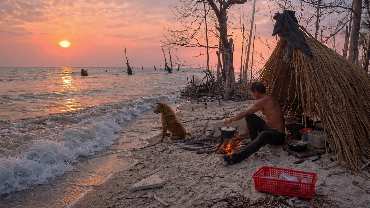 SOLO SURVIVAL CAMPING ON ISLAND BEACH MANGROVE FOREST CATCH &COOK WITH MY DOG-( RELAXING 4K ASMR).!
