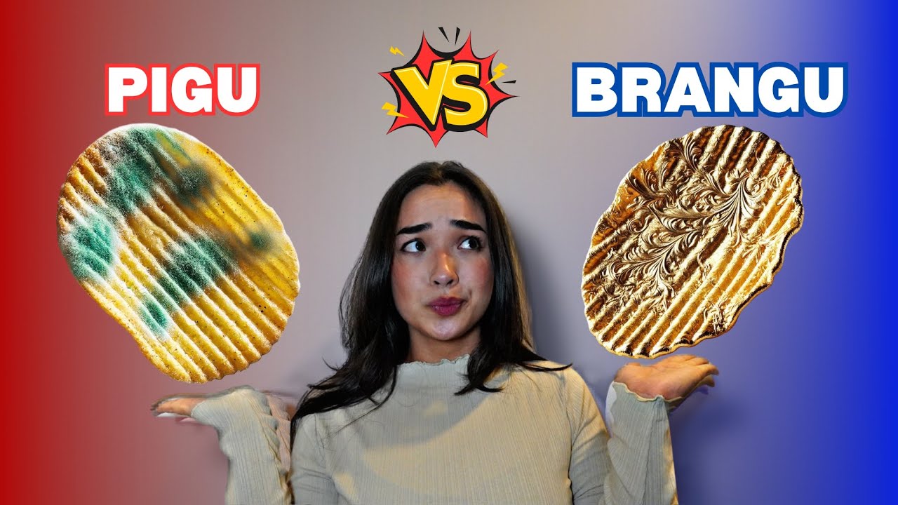 PIGU vs BRANGU | DEMINO