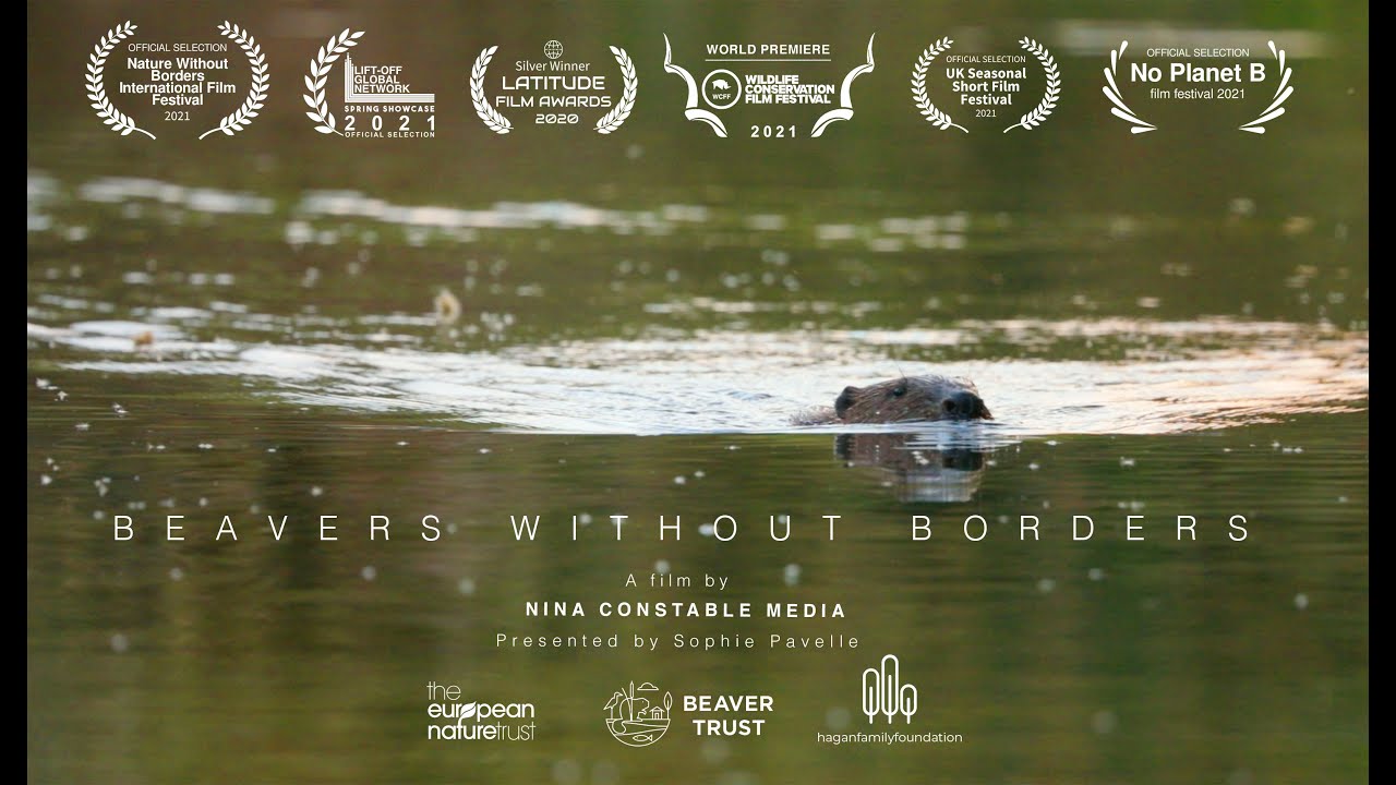 BEAVERS WITHOUT BORDERS: A short documentary