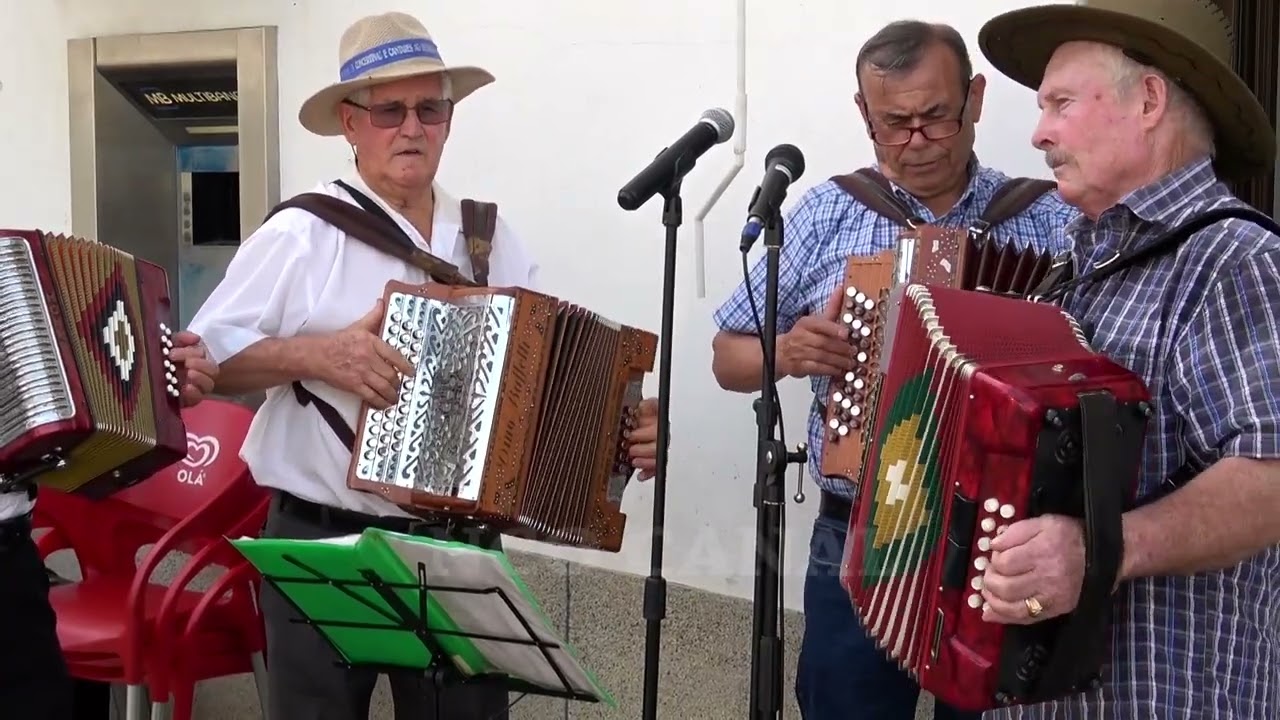 Grupo de Concertinas Amigos de Pessegueiro, 2025  (11)