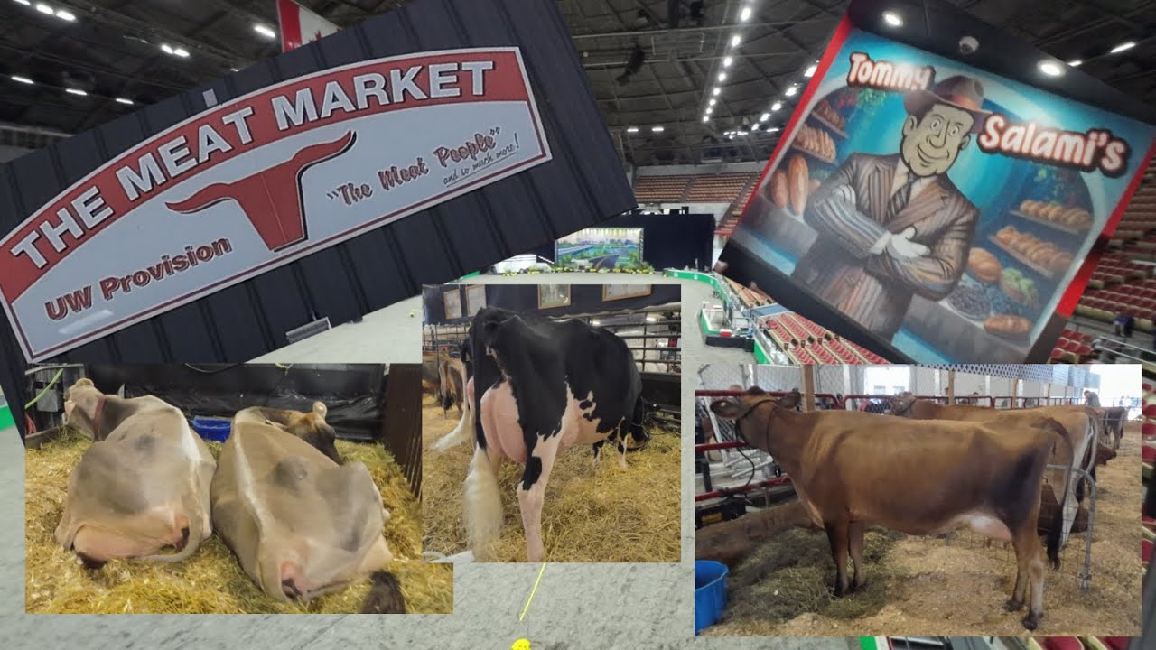World Dairy Expo 2025