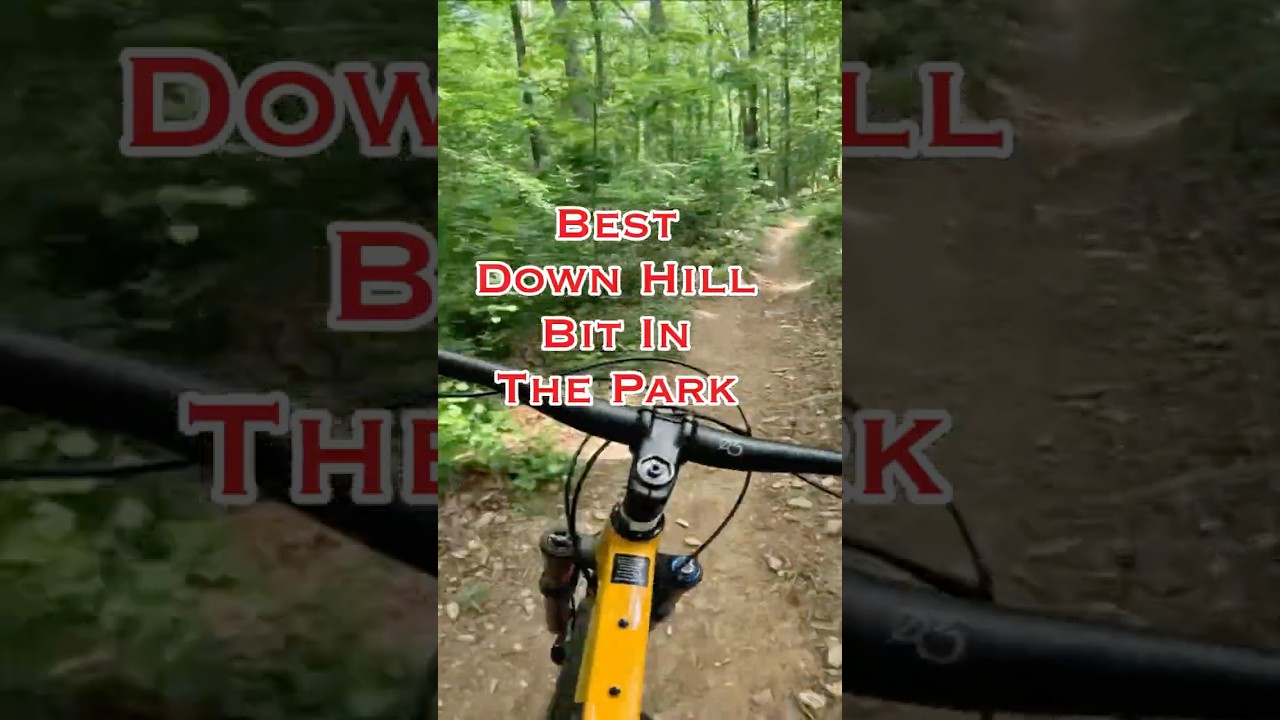 Pt. 5 Long Downhills, Animals and Lake Side Views 