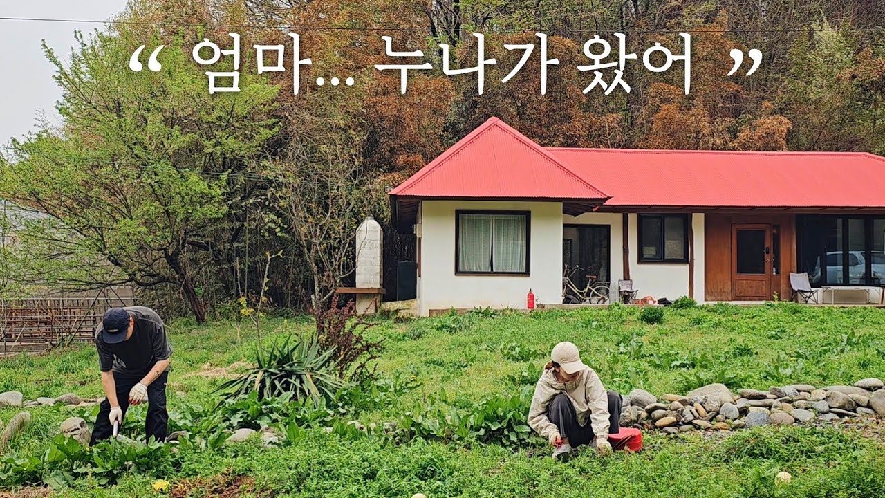 봄나물 깔려있는 산골 시골집에서 🌿 