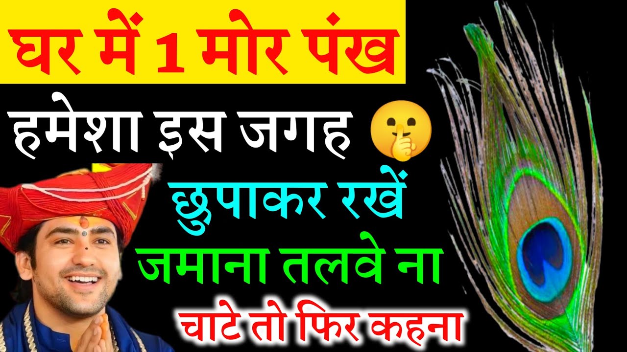 बस एक मोर पंख चमका सकता है आपकी किस्मत, जानें कैसे जमाना तलवा ना चाटे तो फिर कहना 😱