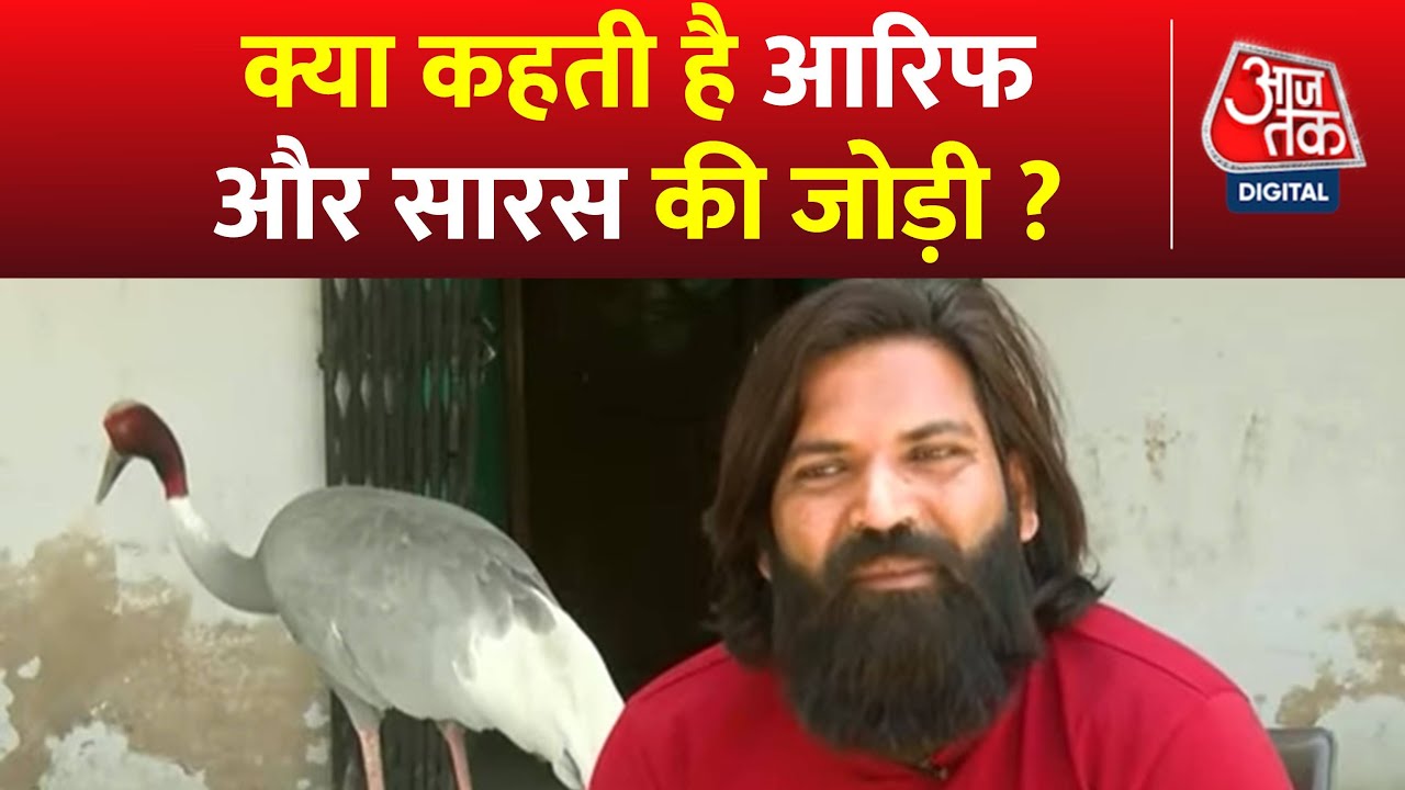 टूट गई Arif और सारस की जोड़ी लेकिन इंसान और पक्षी के दोस्ती के क्या हैं मायने ? | Aaj Tak