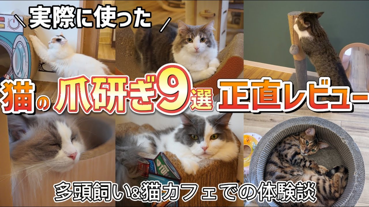 【猫のお世話】実際に使ってみた猫の爪研ぎ良かった点悪かった点を正直レビューします!!
