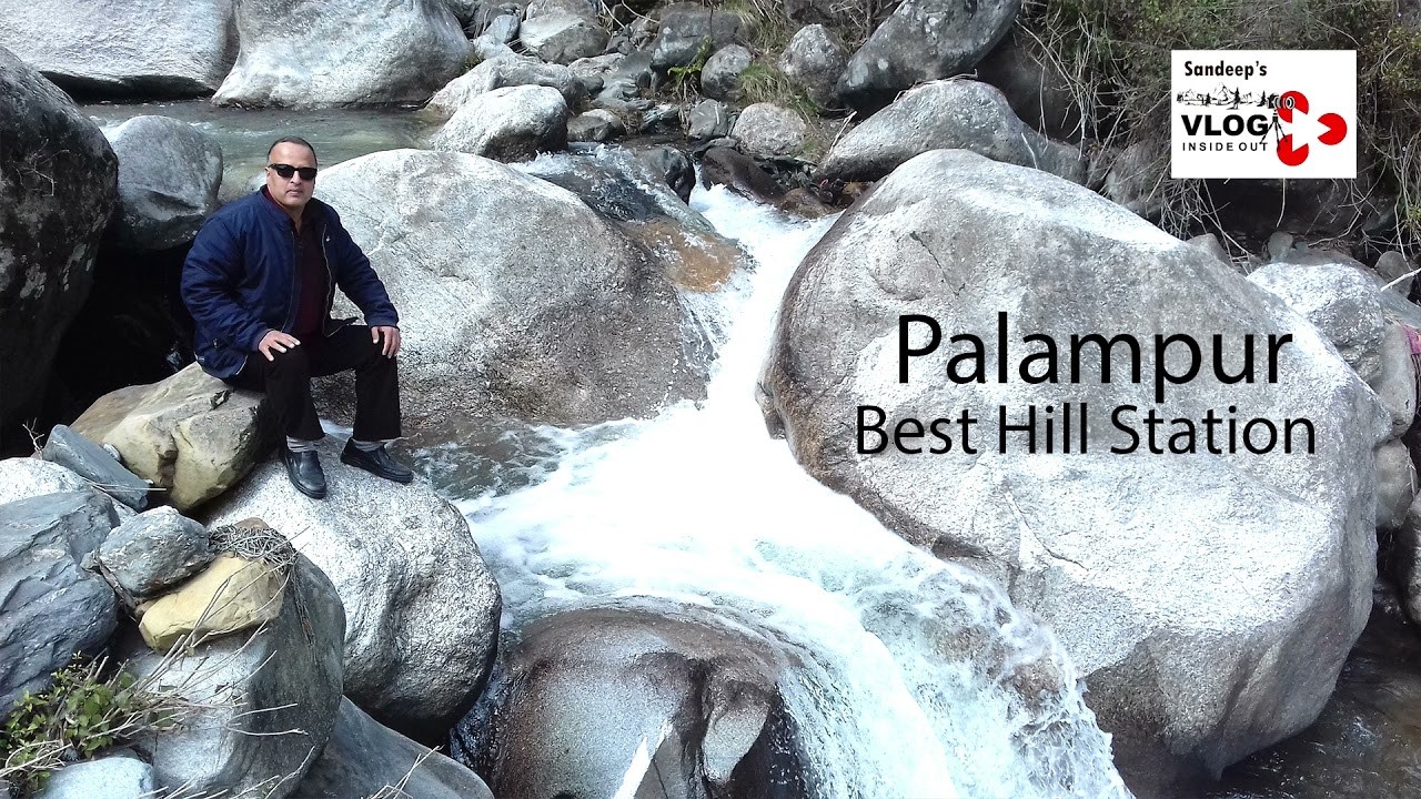 PALAMPUR II BEST HILL STATION II HIMACHAL PRADESH II SWITZERLAND OF INDIA II PROF SANDEEP'S VLOG 13