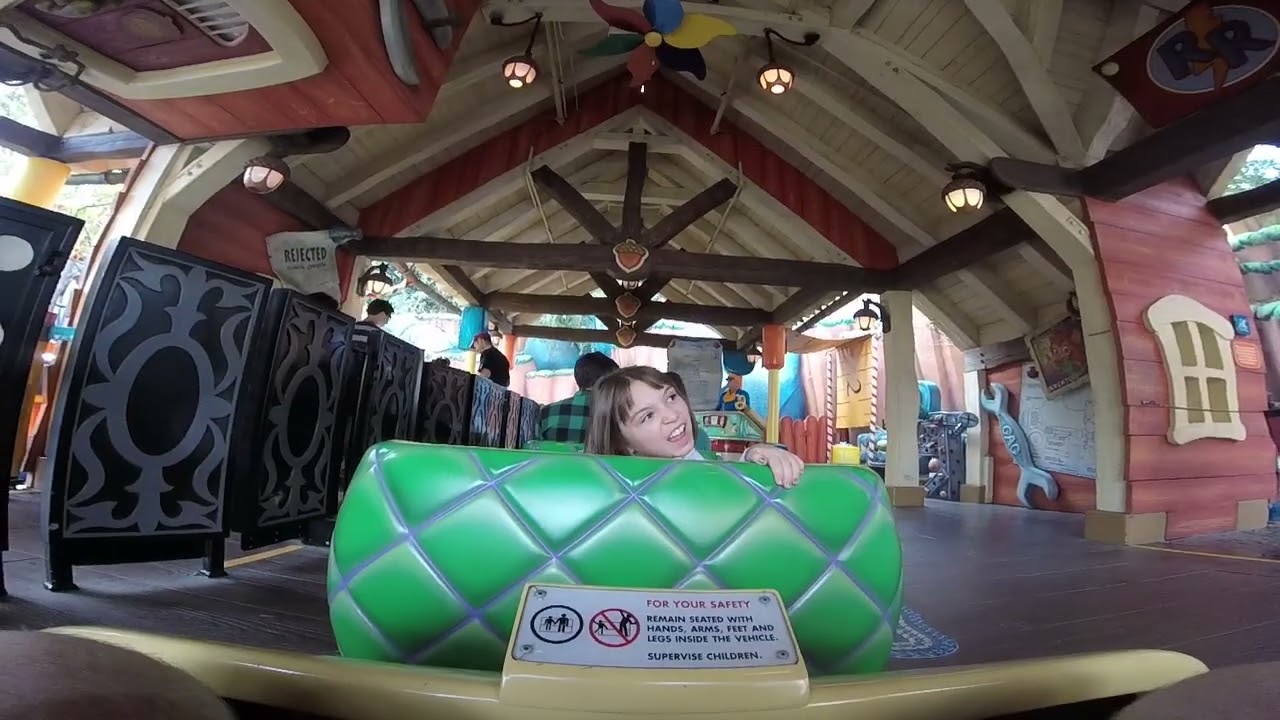 Disney coaster
