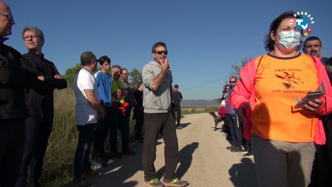 Festa del Most 2021 - Ruta dels camps