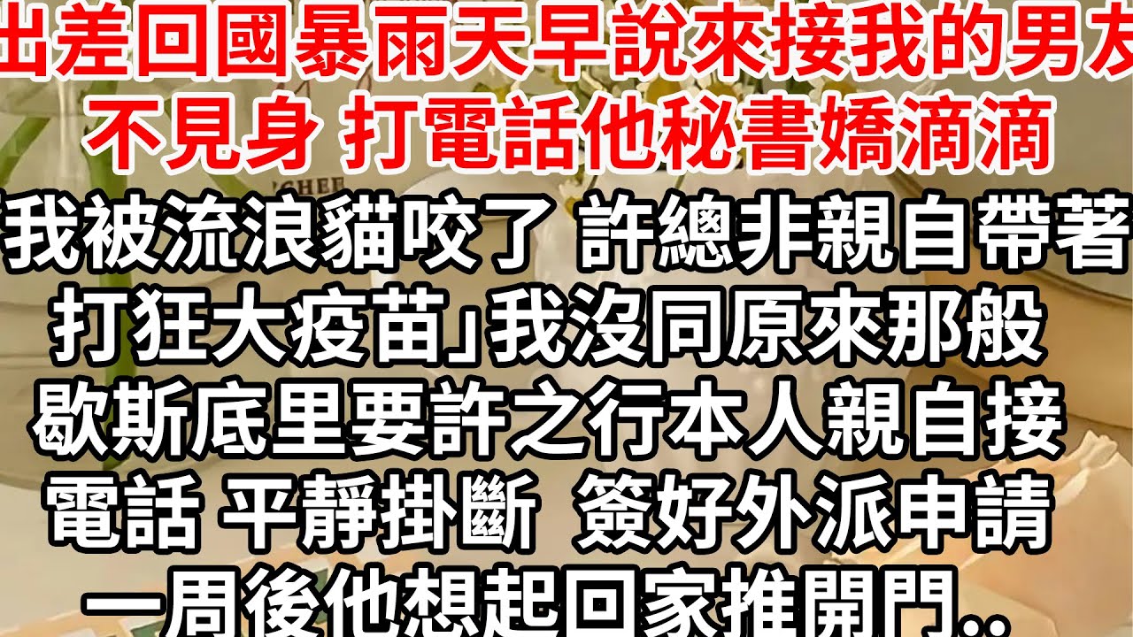 出差回國暴雨天早說來接我的男友不見身影，打電話他秘書嬌滴滴「我被流浪貓咬了 許總非親自帶著打狂大疫苗」我沒同原來那般歇斯底里要許之行本人親自接電話，平靜掛斷簽好外派申請，一周後他想起回家推開門..