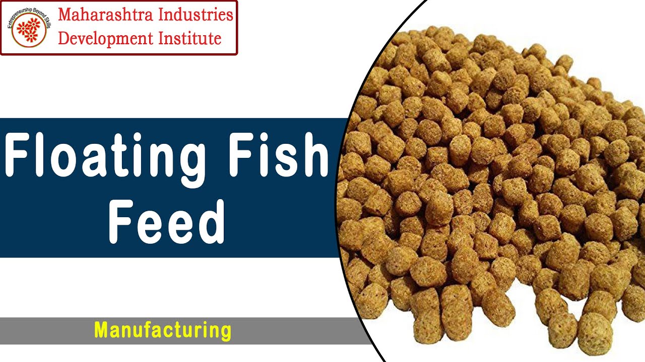 Floating Fish Feed Manufacturing Business