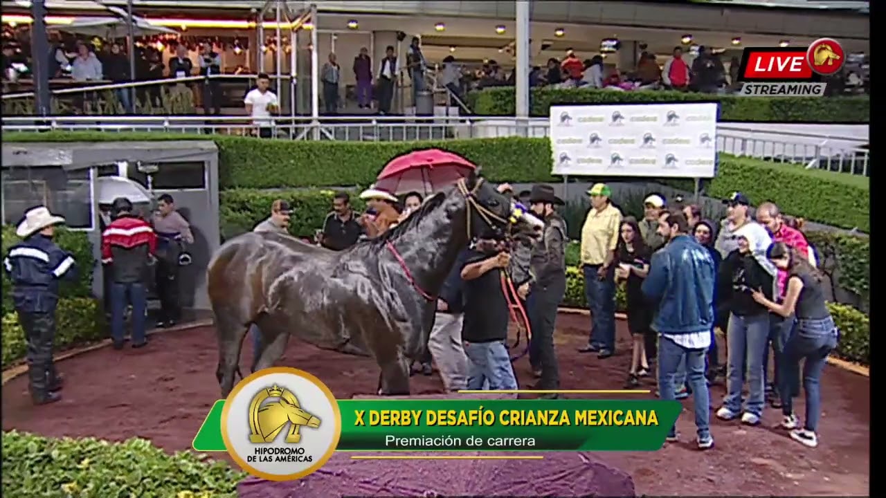 X DERBY DESAFÍO CRIANZA MEXICANA