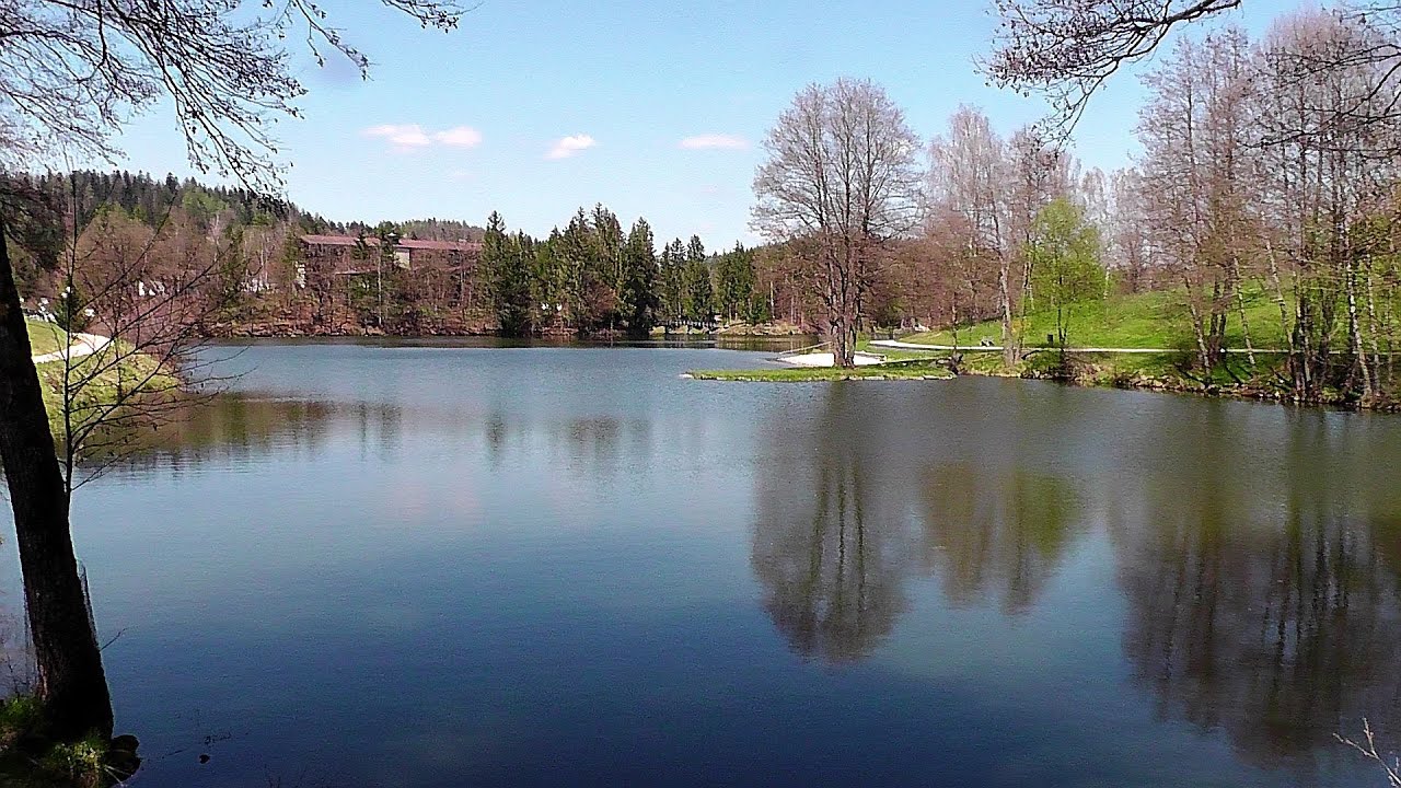 Dreiburgensee oder Rothauer See und ein kleiner Zaunkönig