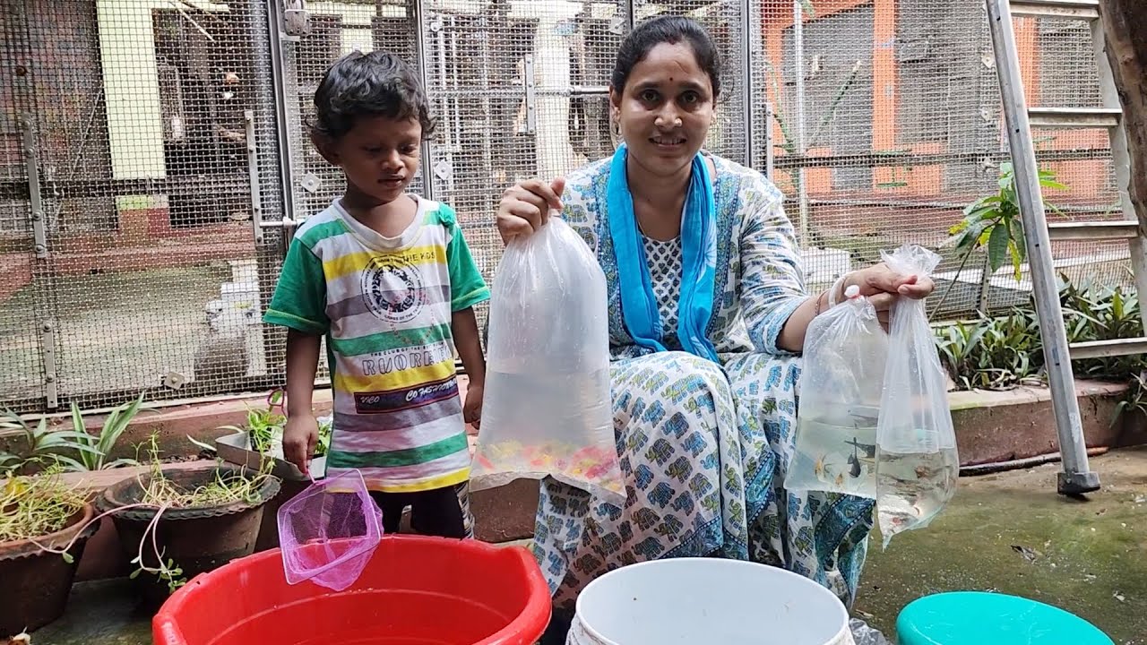 Aquarium ko chhote Chhote Fish se beatiful banayi.