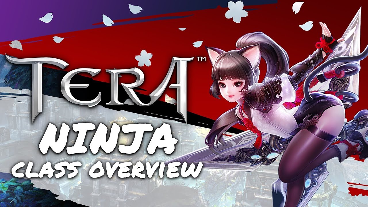 TERA: Ninja Class Overview