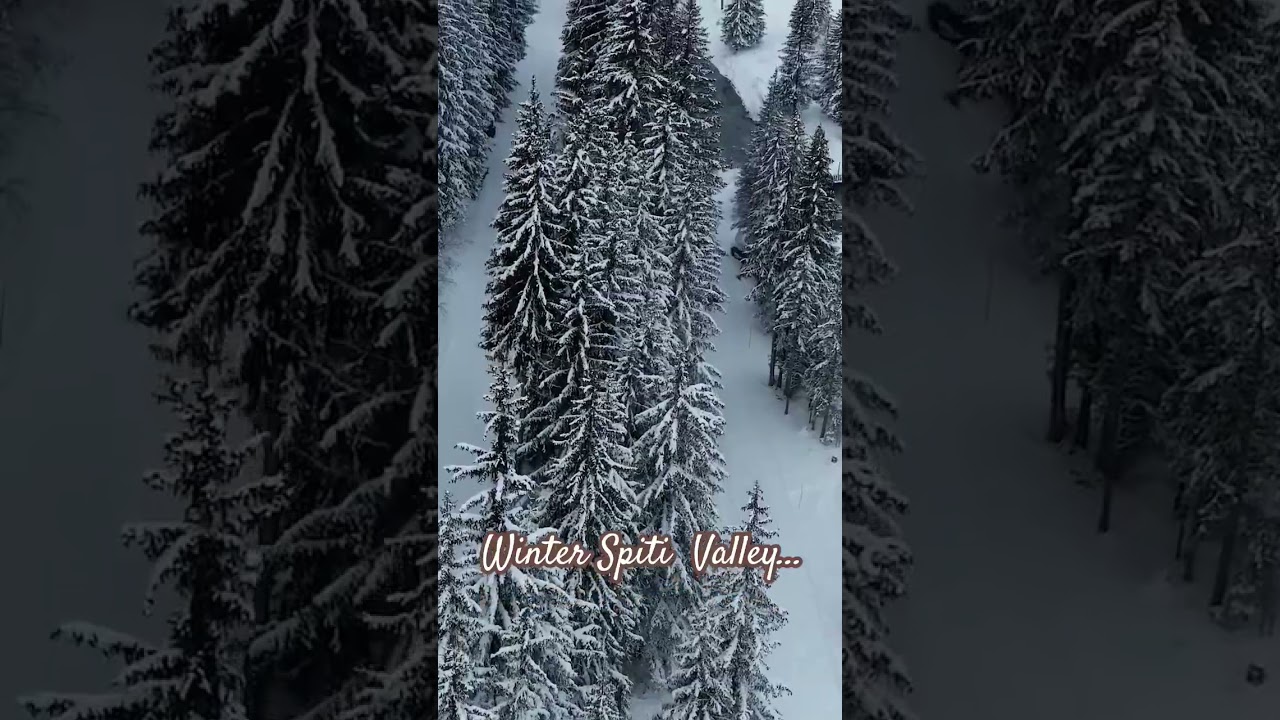 Winter Spiti Valley March 2024 #spitivalley #winterspiti #travelvlog #kaza  #snowfallinspiti