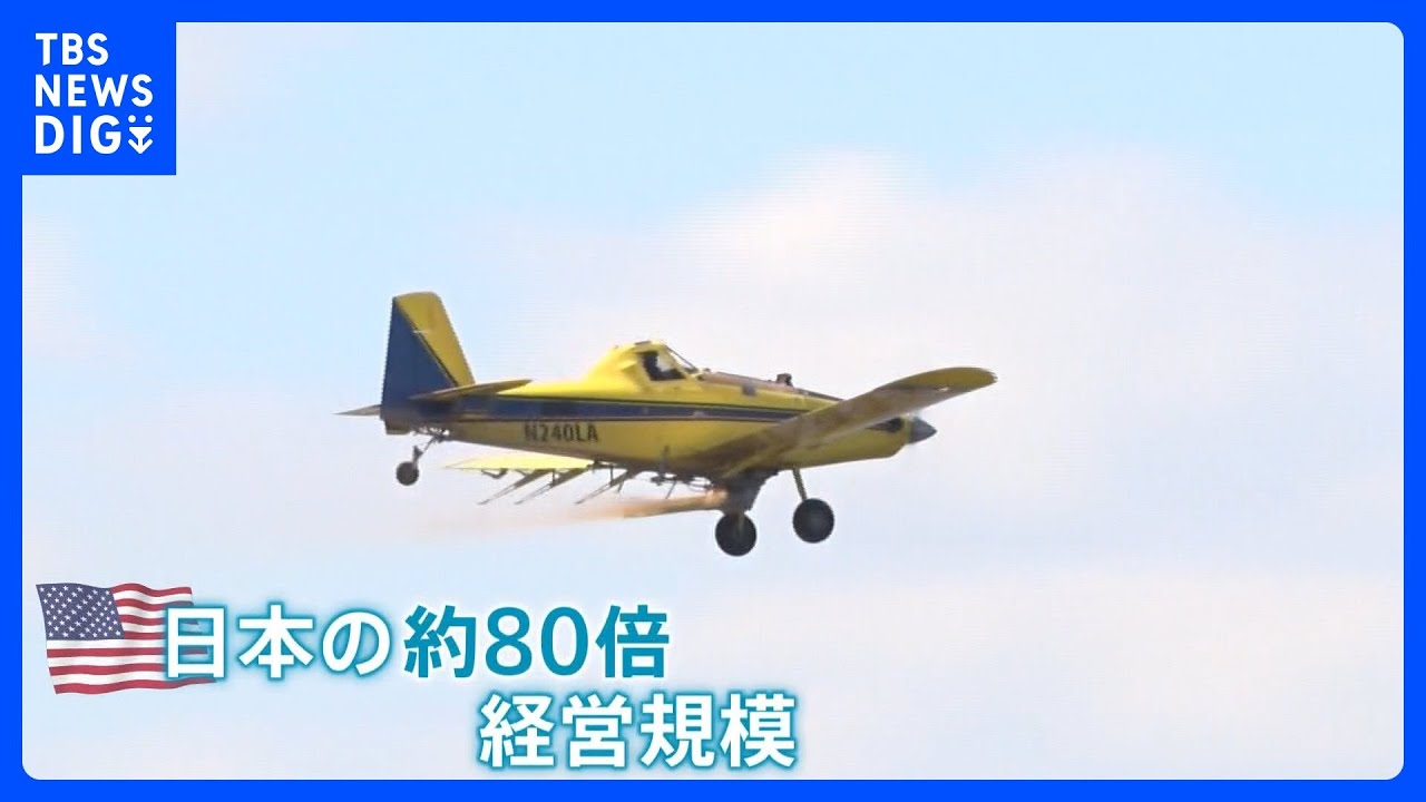アメリカのコメ農家は輸入拡大に期待&nbsp;「経営規模は日本の80倍」広大な土地に飛行機で2トンの種まき｜TBS&nbsp;NEWS&nbsp;DIG