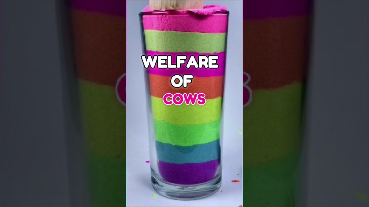 Cow Rights in India: A Cultural Perspective #shortvideo #popular #satisfyingvideo