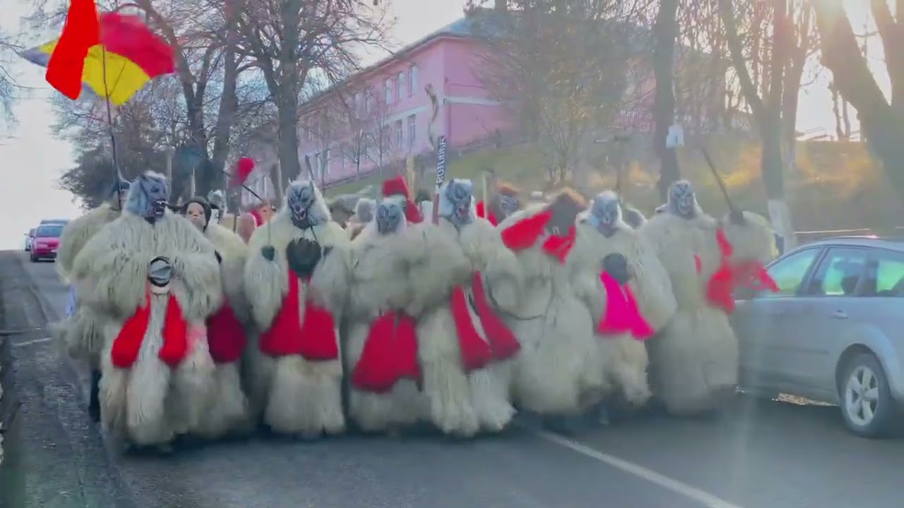 Urșii din Rotunda ✨❤️