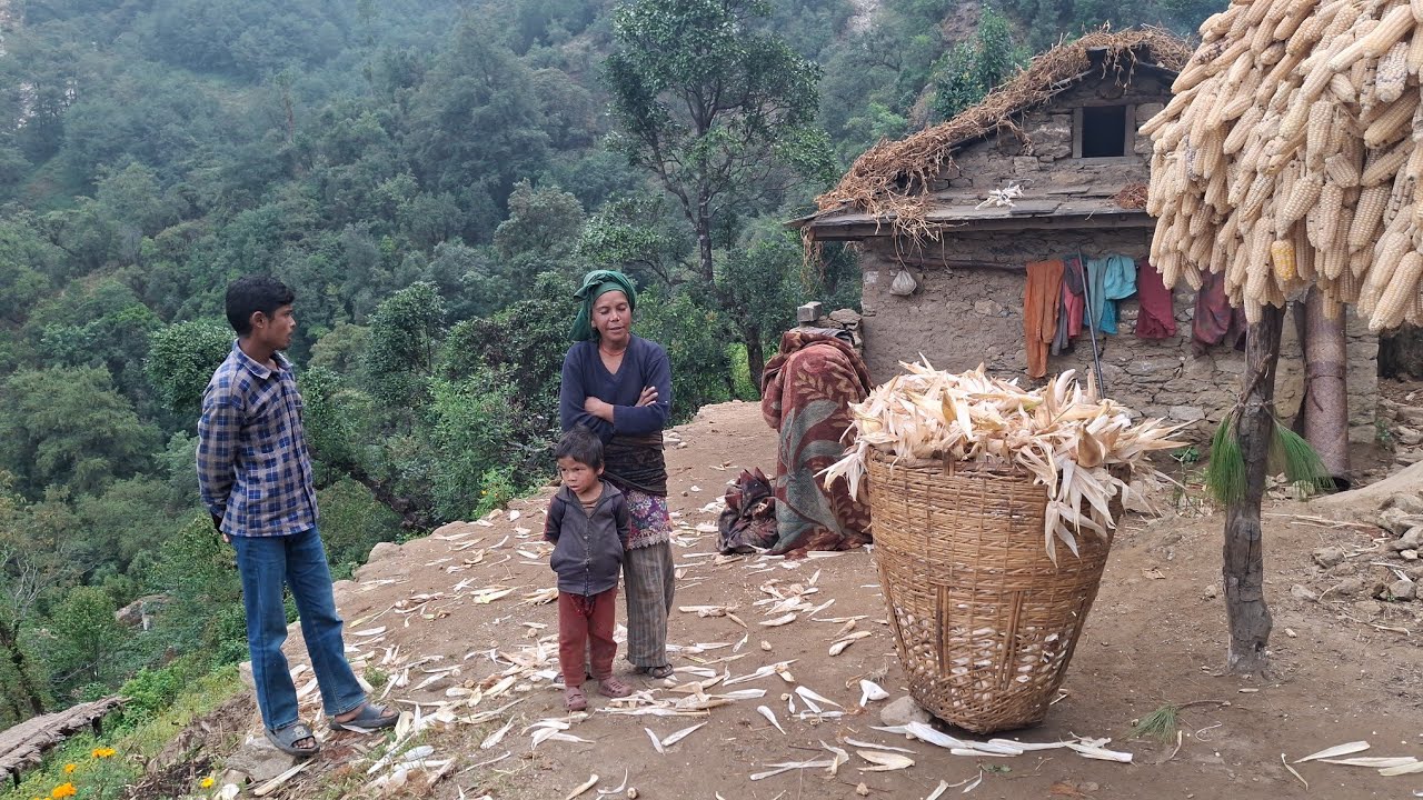 Beautiful And Organic Nepali Mountain Village Life of Nepal | Nepali Village Documentary Videos
