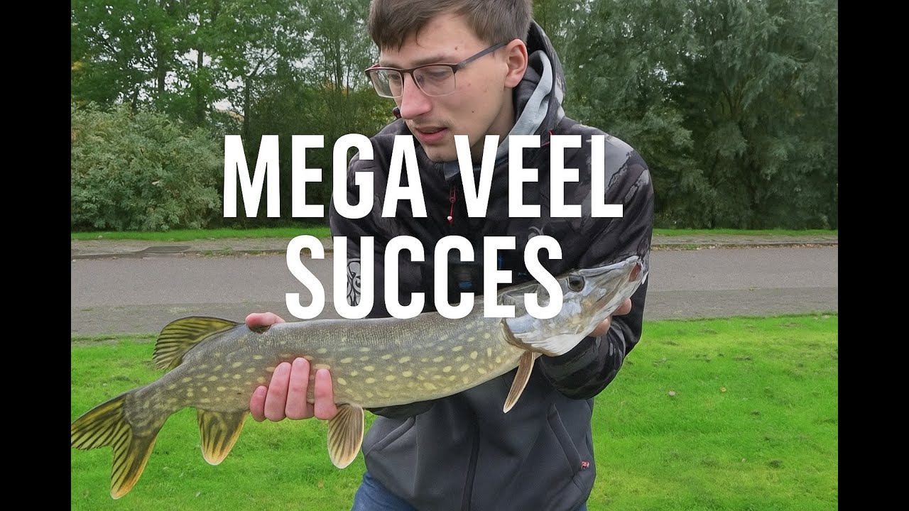 IK VING EEN SNOEK BINNEN 5 MINUTEN!!! || snoekvissen met live aanbeten