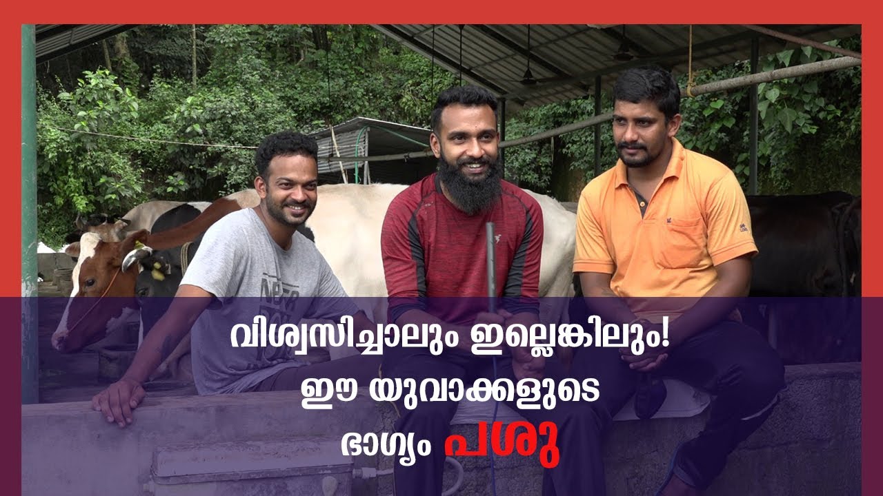 വിശ്വസിച്ചാലും ഇല്ലെങ്കിലും! ഈ യുവാക്കളുടെ ഭാഗ്യം പശു/ How to make a profitable diary farm?