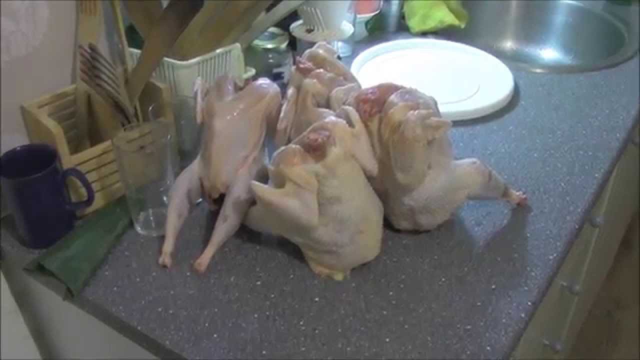 Teurastettuja kanoja