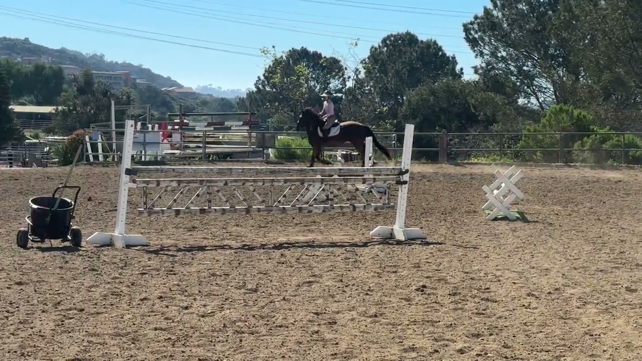 Stella Blue DFEN Jump Feb 27 2026