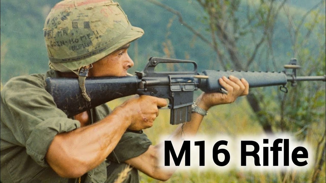The M16 Rifle: A Comprehensive Guide