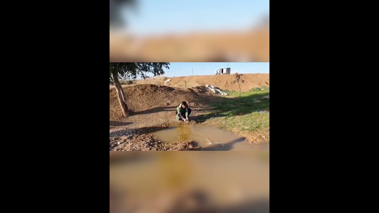 تحضير سمك على الفحم في المخيم الكشفي. ق.ستيفان كرش