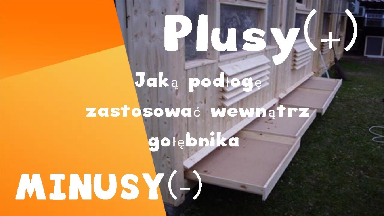 GOŁĘBIE Pocztowe- Podłoga w gołębniku czy Ruszt?Plusy(+)  minusy (-)