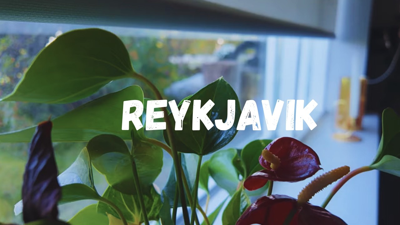 A Cozy Weekend in Reykjavík | Slow Living in Iceland with Gel & Jay (4K)