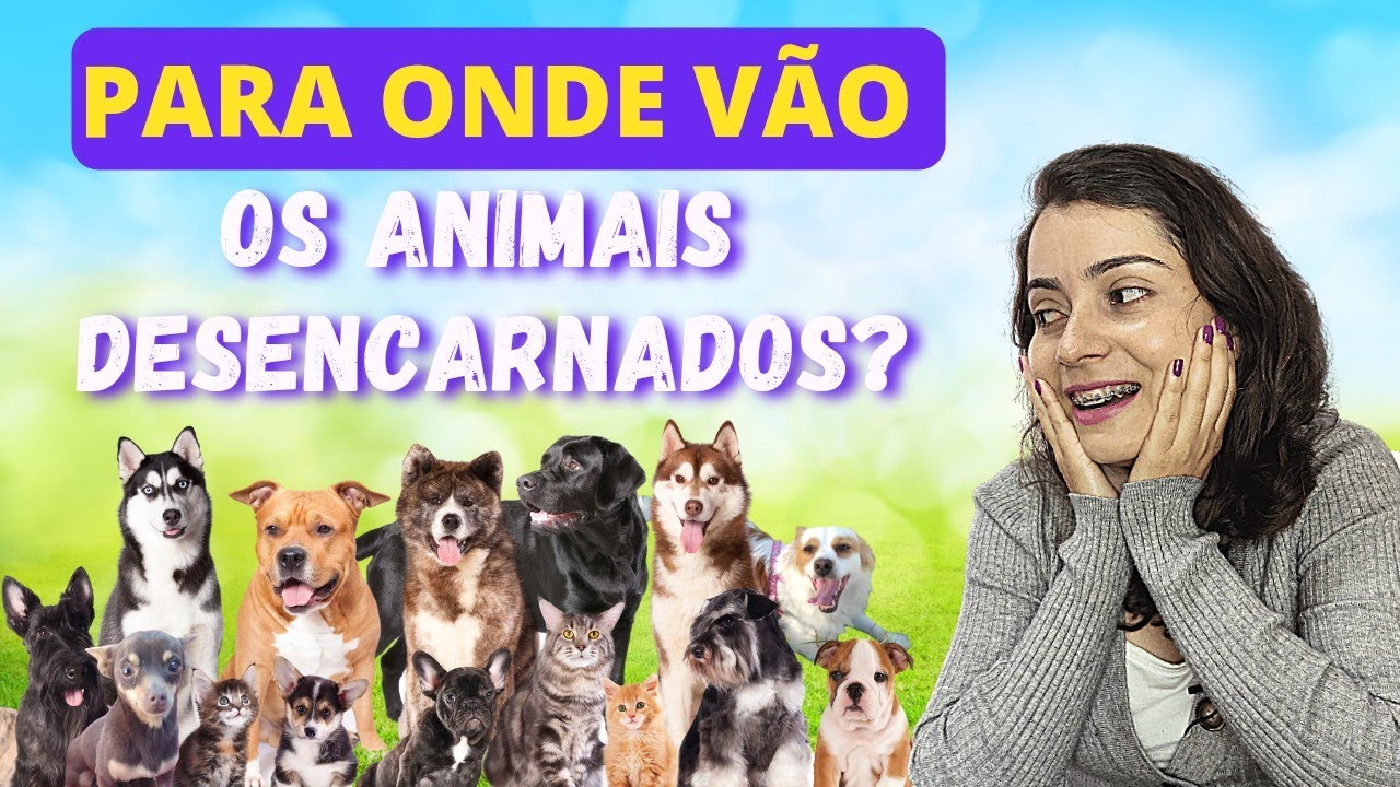 Visitei o Rancho Alegre! Um lar no astral para ANIMAIS DESENCARNADOS e tive uma GRANDE SURPRESA!