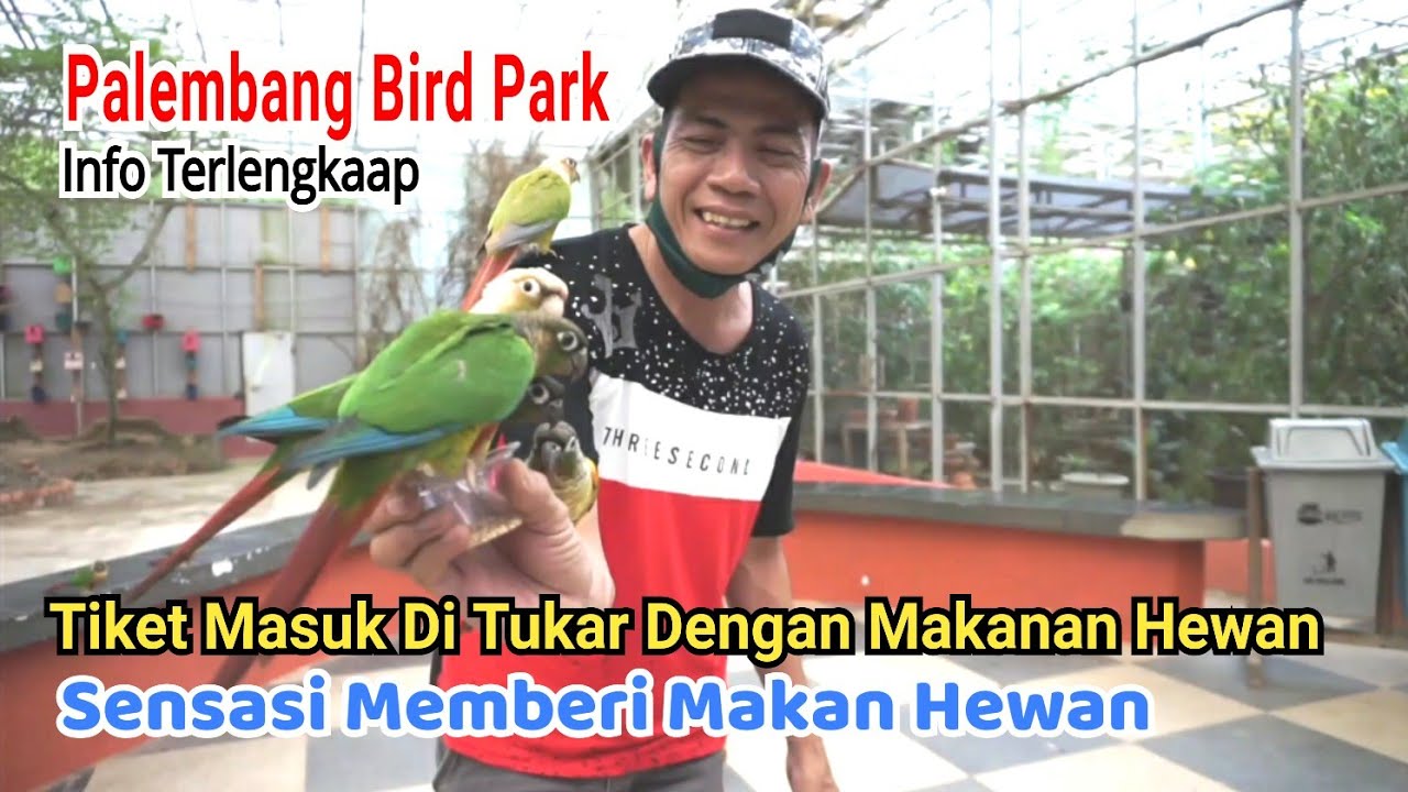 WISATA PALEMBANG BIRD PARK Beragam Burung Dan Hewan Bagus Lainnya