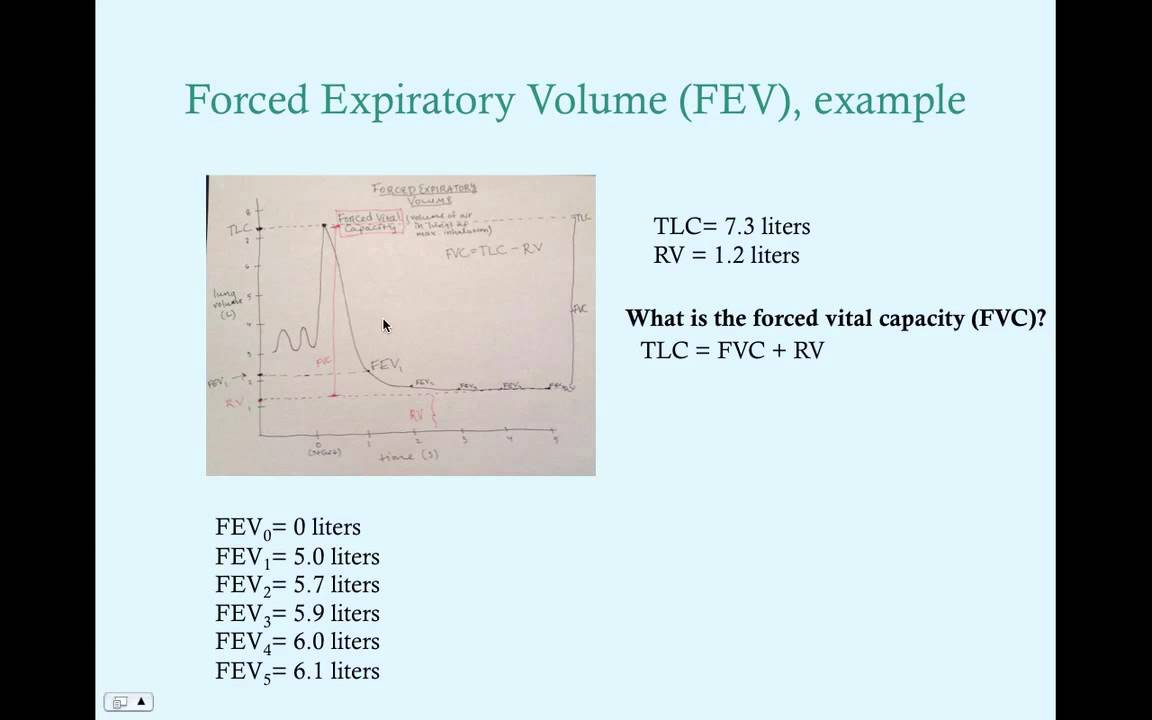 Physiology and Mechanics of Breathing - CRASH! Medical Review Series