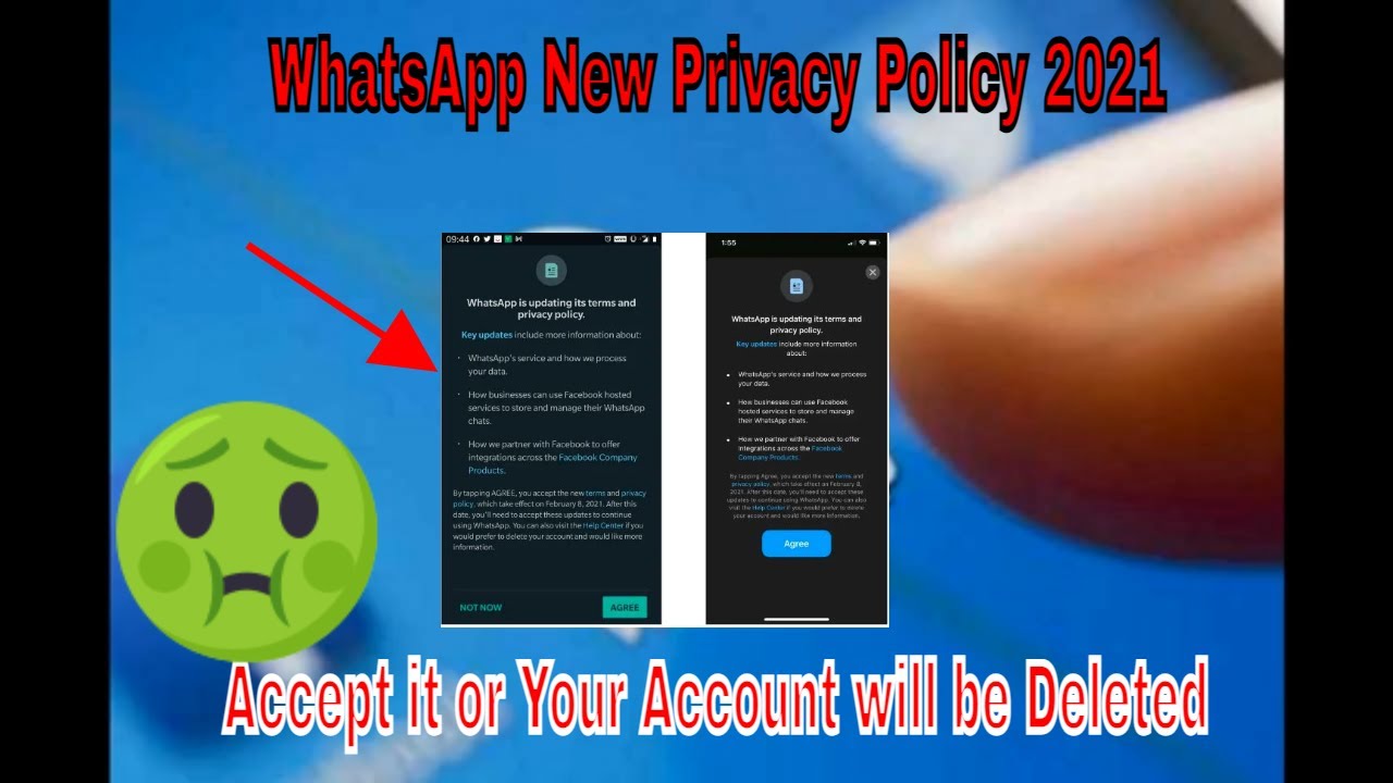 Whatsapp New Privacy Policy Update 2021 | February 8 2021| Accept It or Your Account will Be Deleted