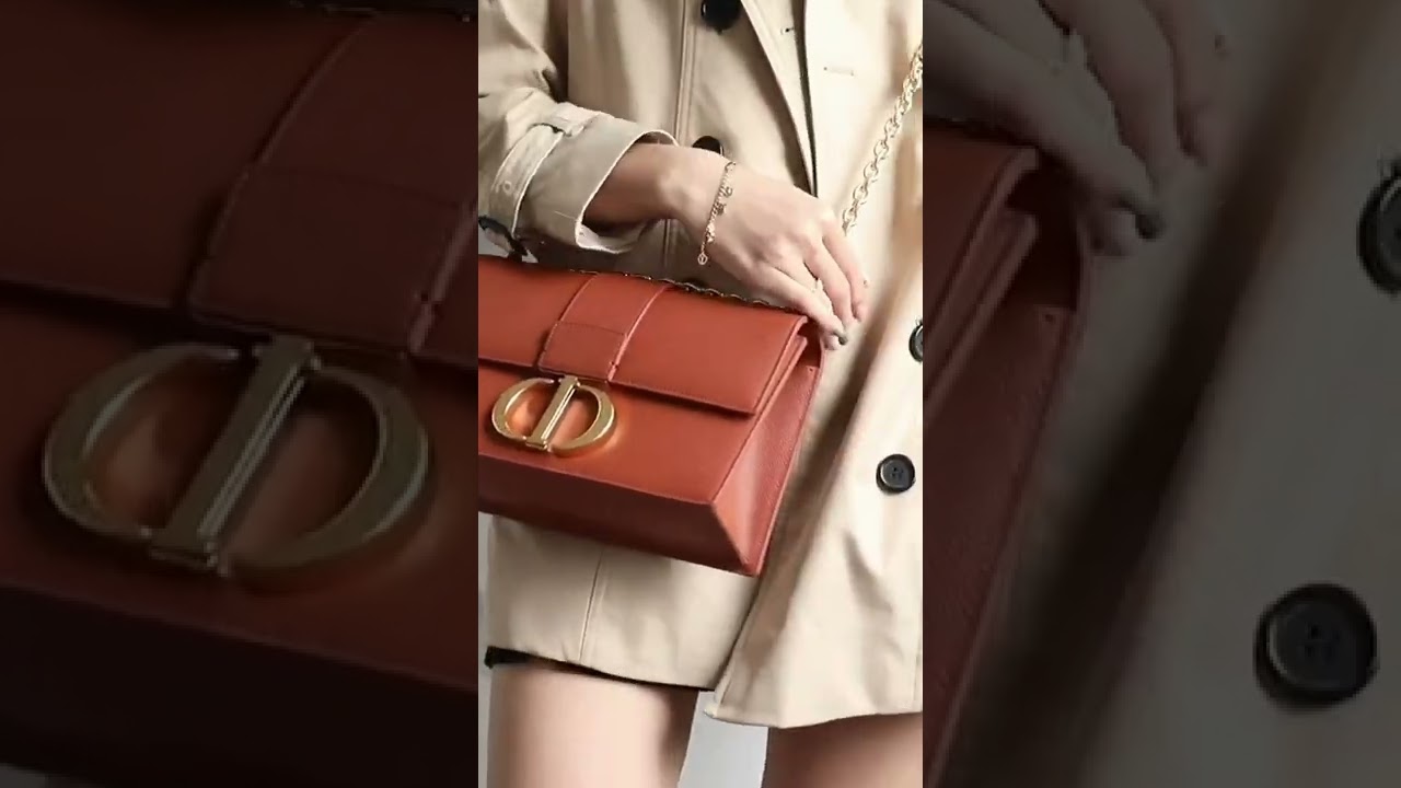 30 montaigne Brown bag Dior Bag Recommendation 