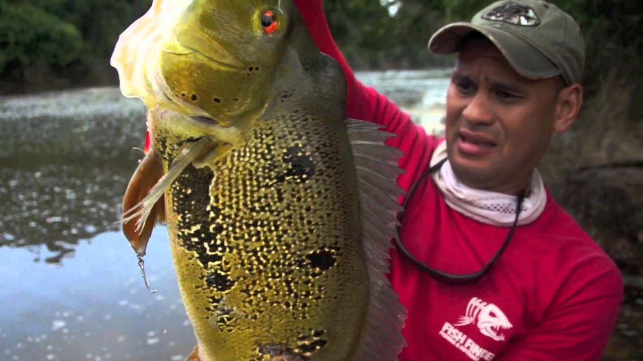 Experimental Fishing [ FISH FINDER ]