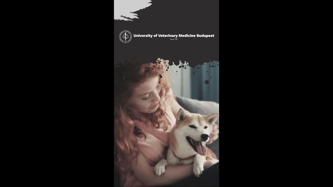 🎓 University of Veterinary Medicine Budapest &ndash; Hungary 🇭🇺 Dreaming of becoming a vet?