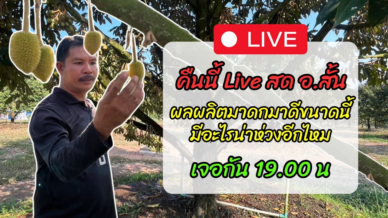 ไลฟ์สด อาจารย์สั้น ปีนี้ ผลติดดกดี จะมีอะไรน่าห่วงอีกบ้าง