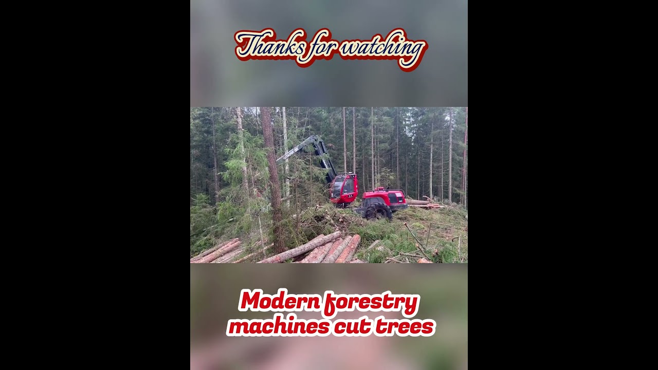 Modern forestry machines cut trees #chainsaw #forestryequipment #excavator #gianttreecutting