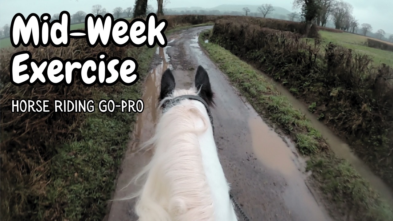 Mid-week exercise with a very spicy cob (To hog or not to hog?) / Horse Riding Go-Pro