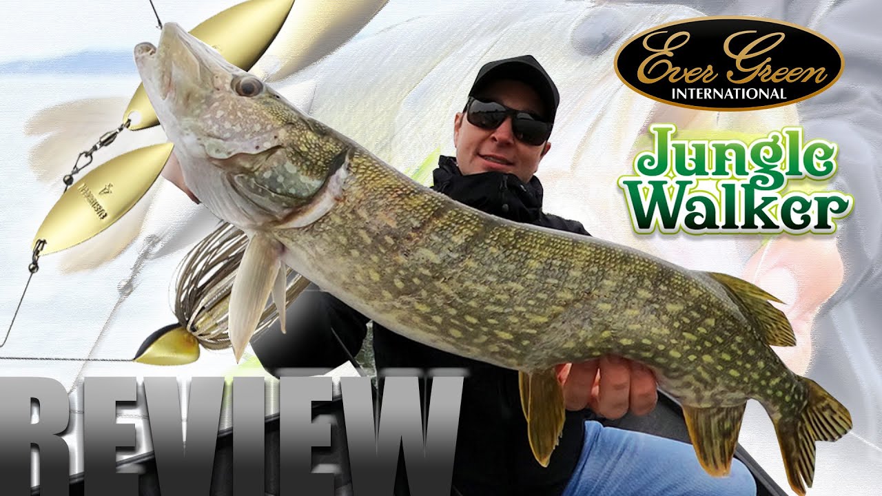Evergreen JUNGLE WALKER - Der perfekte Spinnerbait für stark verkrautete Gewässer