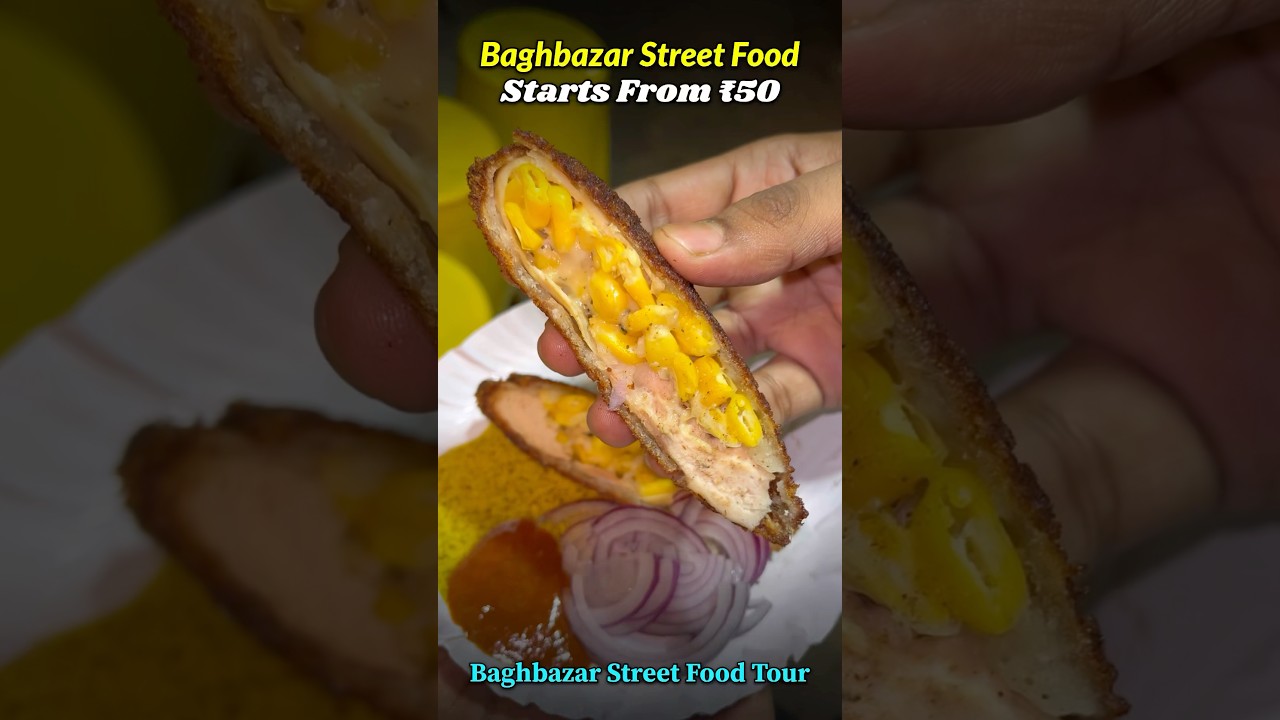 Street Food Started From Only ₹50 | Baghbazar Street Food Tour | North Kolkata Street Food | SSR