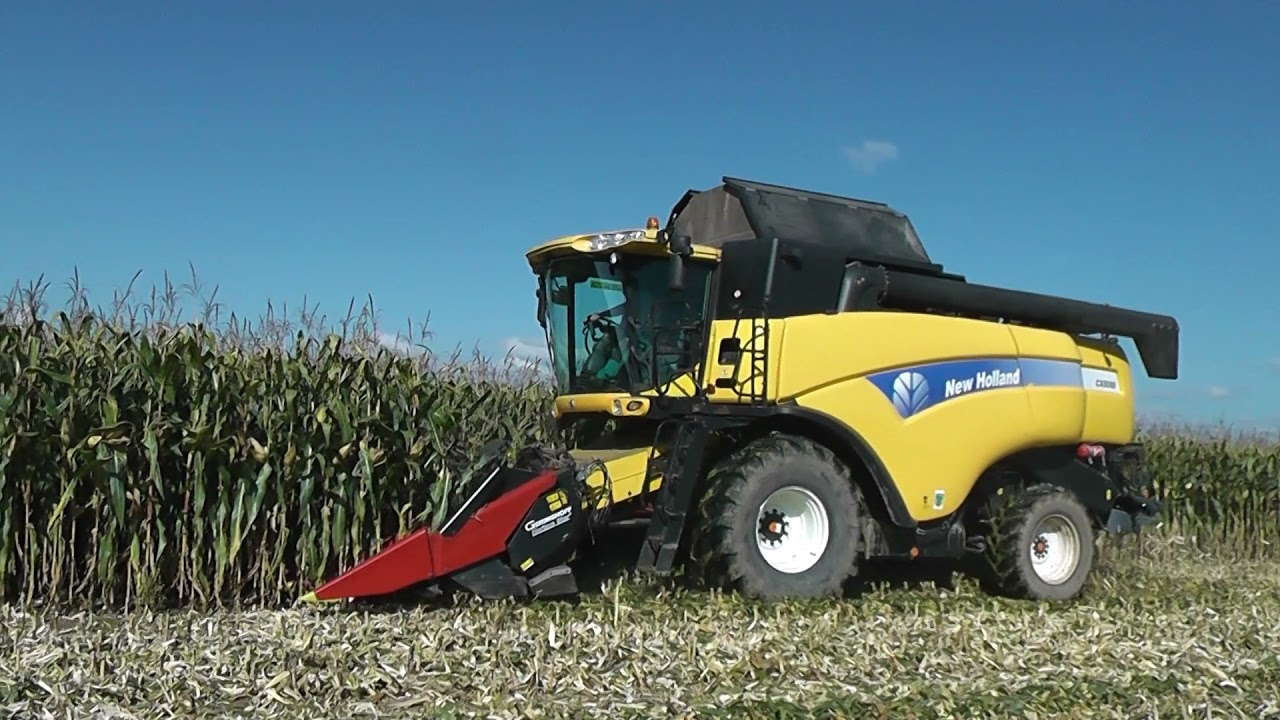 Kukurica na CCM / New Holland CX 8080 / PPD Rybany / Tatra