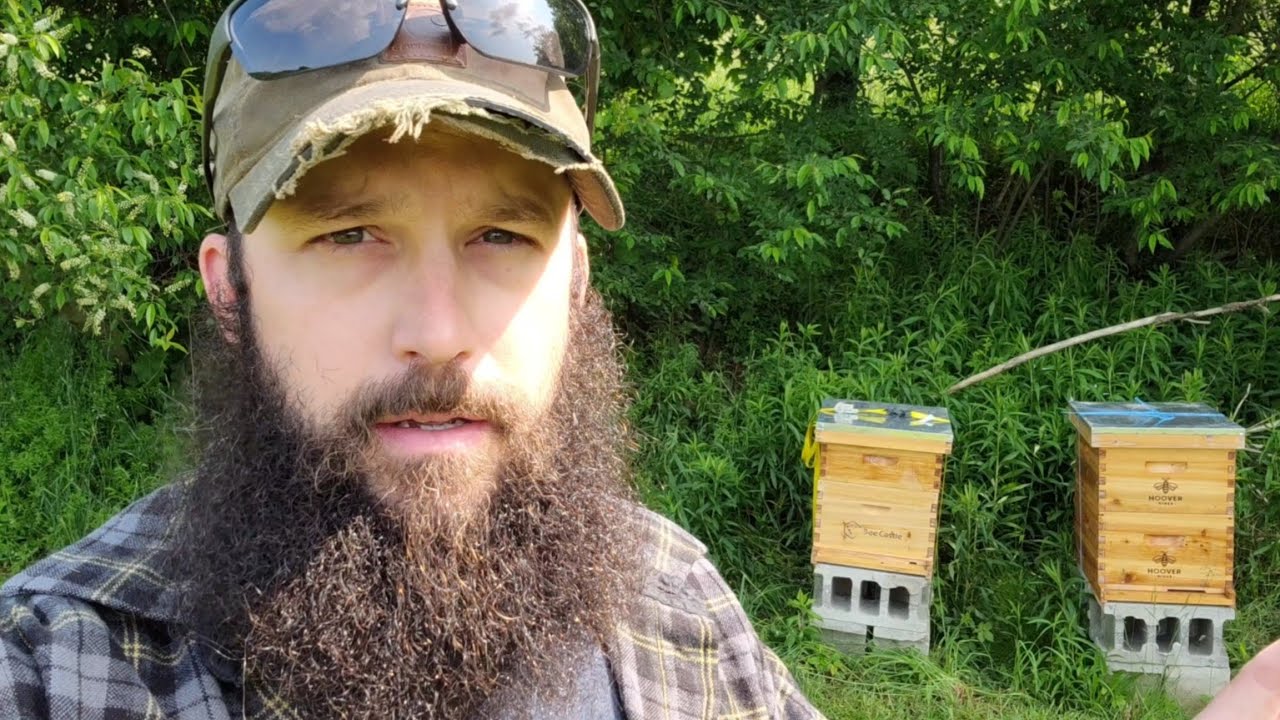 Beginner Beekeeper My First Try At Beekeeping