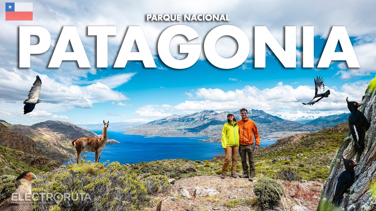 El Secreto Mejor Guardado de la Patagonia - Carretera Austral - Parque Nacional Patagonia 36/46