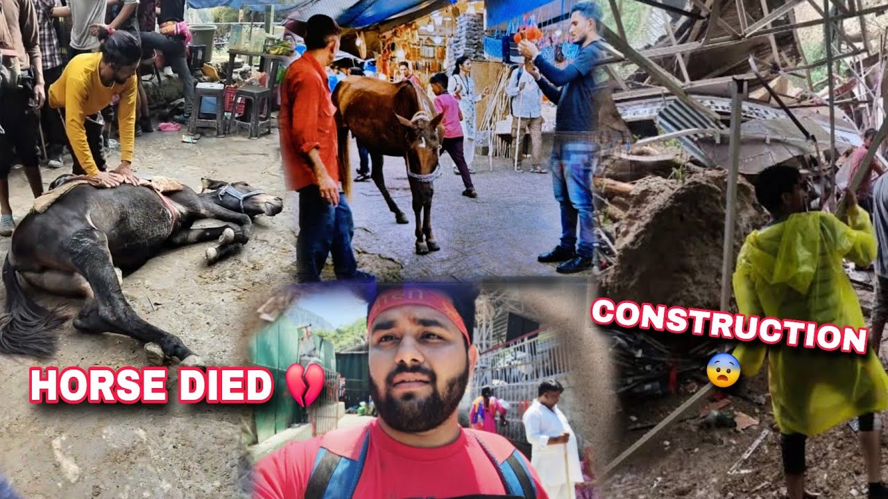 HORSE DIED 💔DURING VAISHNO DEVI YATRA | Vaishno Devi Under Construction | Vaishno Devi Yatra 